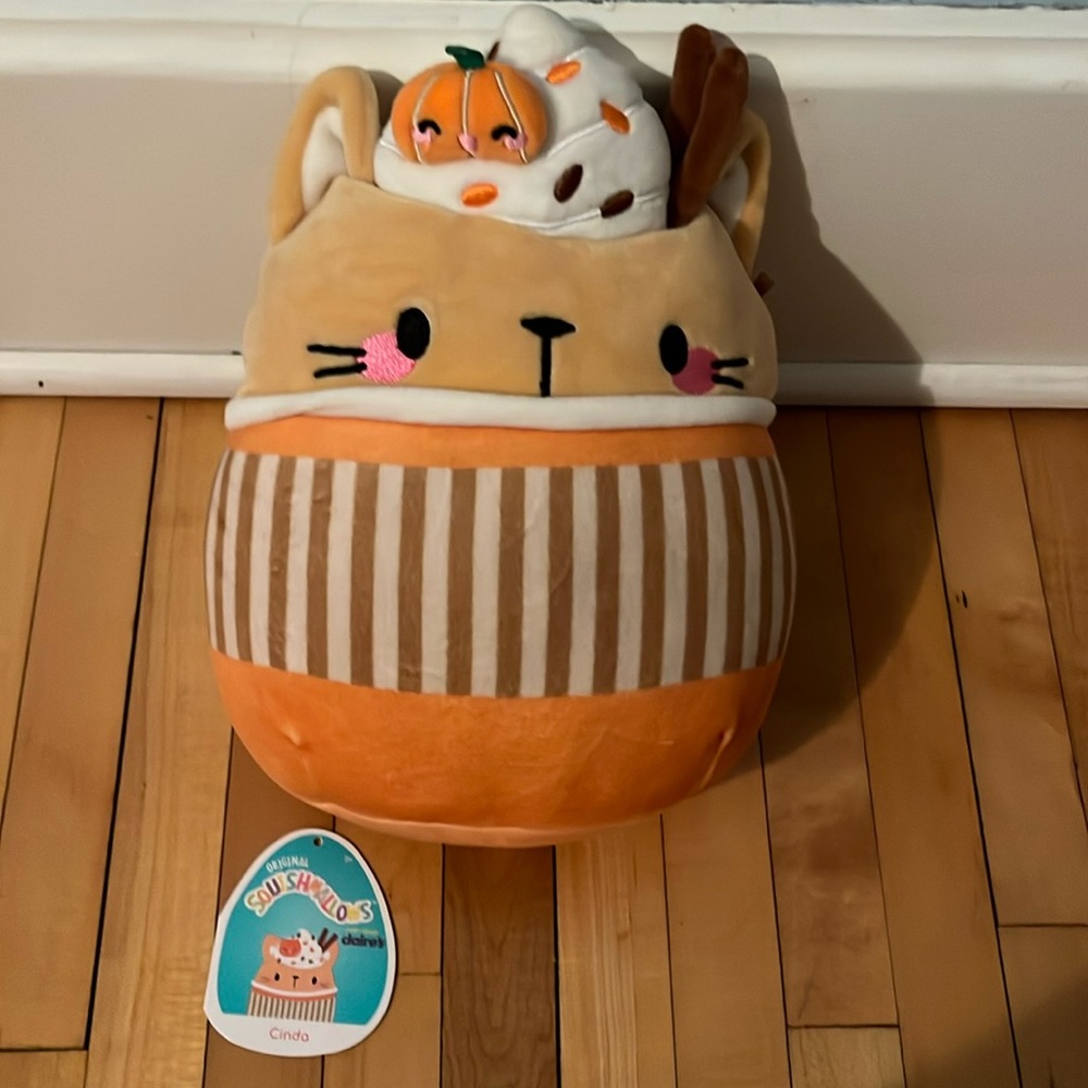 Cinda cat squishmallow